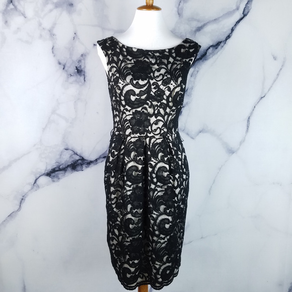 Eliza J Dresses & Skirts - Eliza J Royal Collection Dress 10 Black Lace